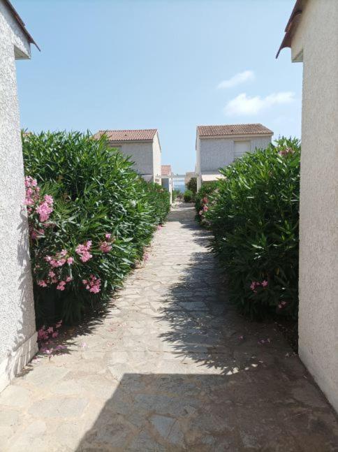 Villa Climatisee A Nuciola Prunete Entre Mer, Montagne Et Piscine Cervione Exteriör bild