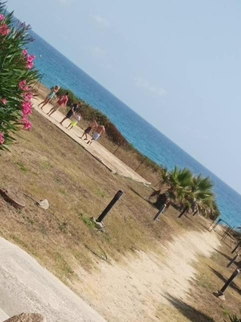 Villa Climatisee A Nuciola Prunete Entre Mer, Montagne Et Piscine Cervione Exteriör bild