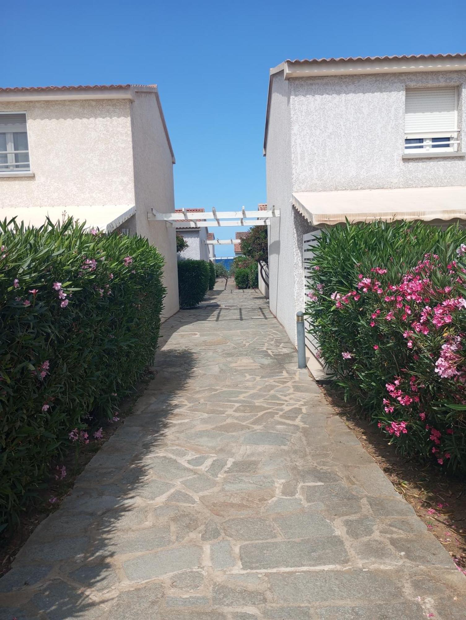 Villa Climatisee A Nuciola Prunete Entre Mer, Montagne Et Piscine Cervione Exteriör bild