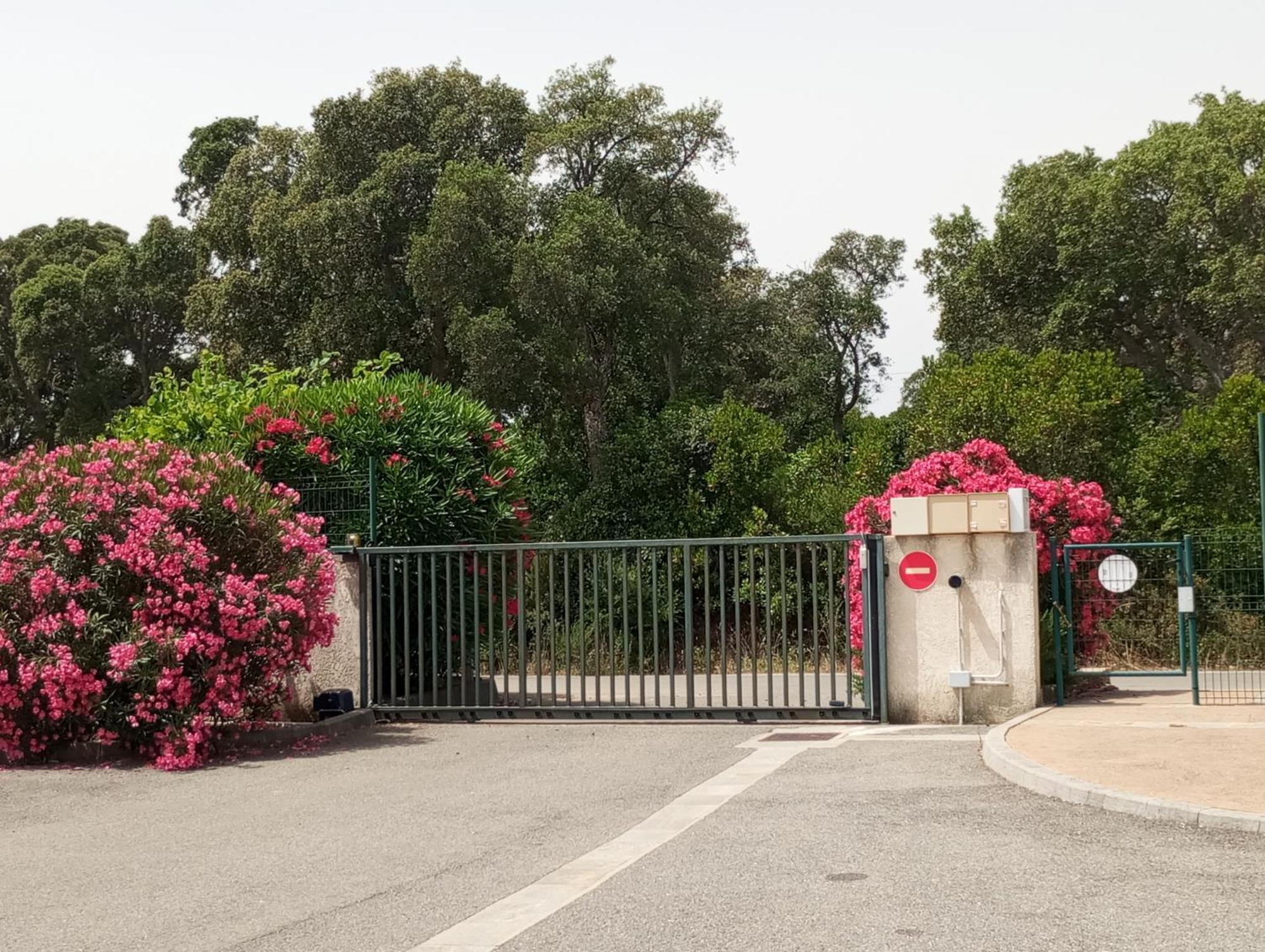 Villa Climatisee A Nuciola Prunete Entre Mer, Montagne Et Piscine Cervione Exteriör bild