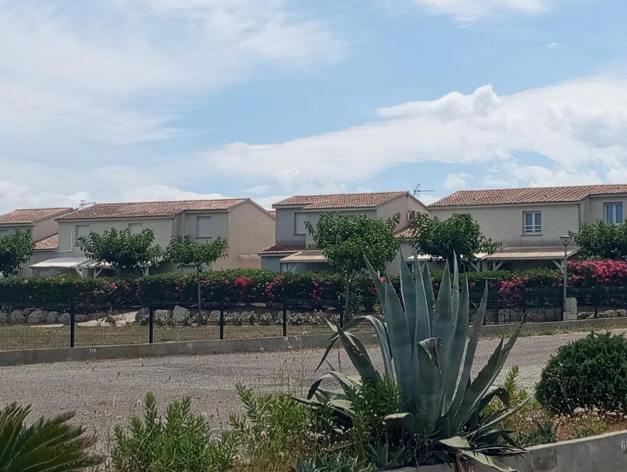 Villa Climatisee A Nuciola Prunete Entre Mer, Montagne Et Piscine Cervione Exteriör bild