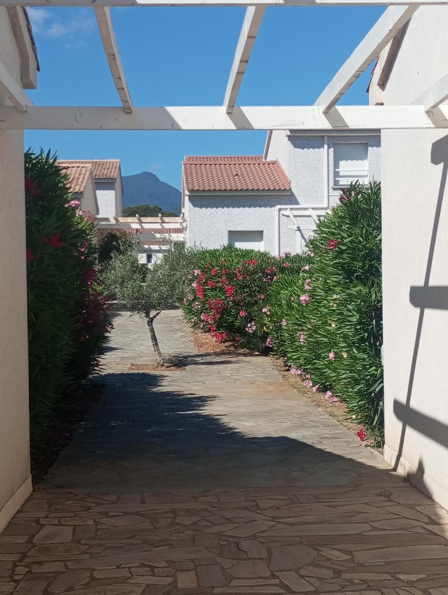 Villa Climatisee A Nuciola Prunete Entre Mer, Montagne Et Piscine Cervione Exteriör bild